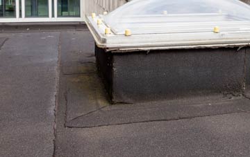 disadvantages of Hixon flat roofs
