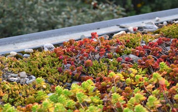 the cost of Hixon green roof installation