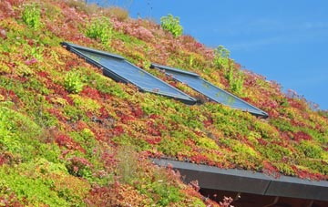 Hixon living roof systems