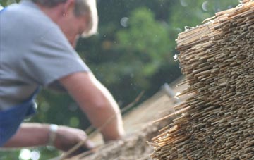 professional Hixon thatchers