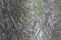 Hixon fibreglass roof work